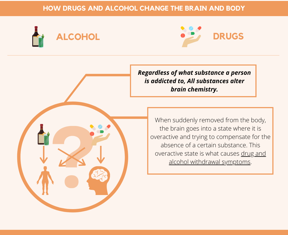 How Drugs and Alcohol Change the Brain and Body