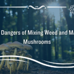 the dangers of mixing weed and magic mushrooms