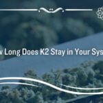 How Long Does K2 Stay in Your System