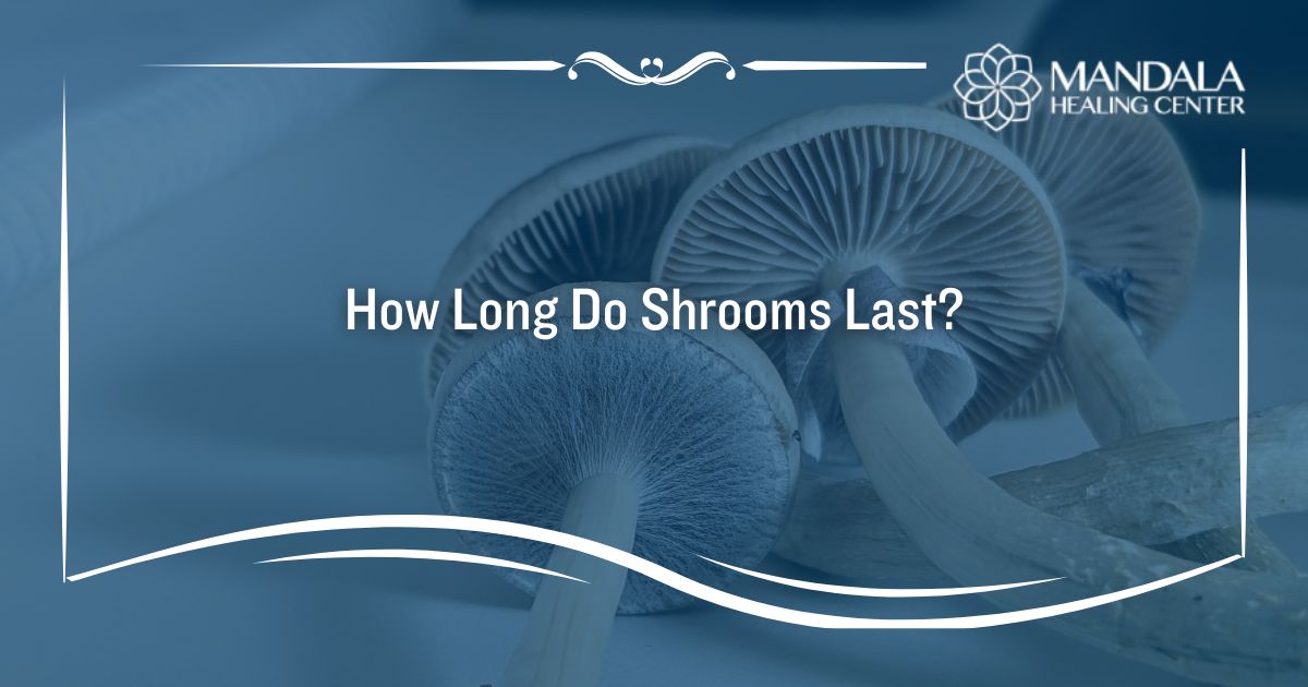 How Long Do Shrooms Last